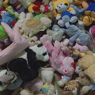 gấu bông si hàng hàn - nhật - hongkong