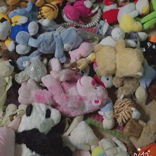 gấu bông si hàng hàn - nhật - hongkong