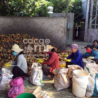 Bột cacao NGUYÊN CHẤT - túi 500g