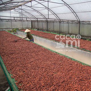 Bột cacao NGUYÊN CHẤT - túi 500g