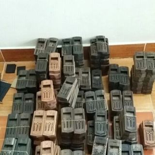 vỏ gỗ các dòng