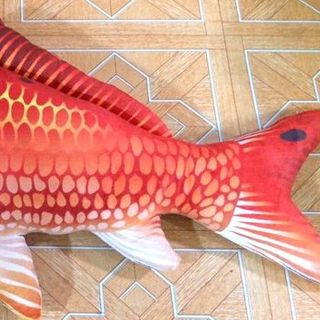 THÚ NHỒI BÔNG