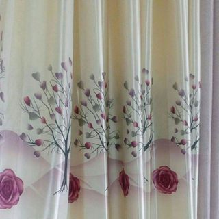 Thế giới rèm Thiên Tân