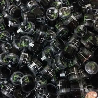 Gel lột mụn Lê Thanh
