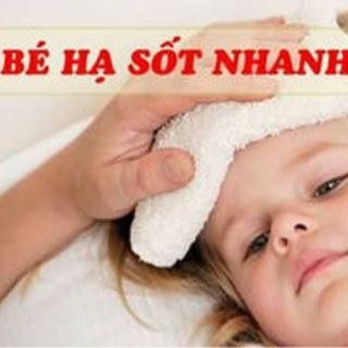 tinh dầu tràm Huế Nguyên chất