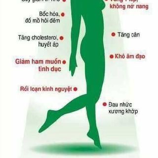MẦM ĐẬU NÀNH NGUYÊN XƠ NHÀ LÀM
