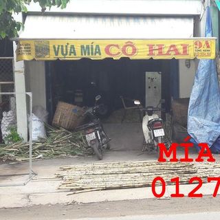 Mía Tím Nha Trang