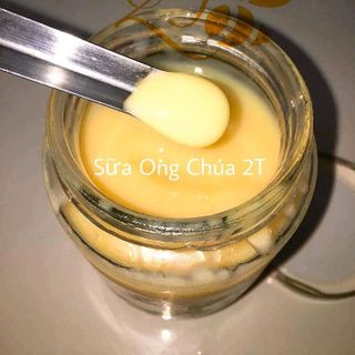 Sữa Ong Chúa tuơi nguyên chất