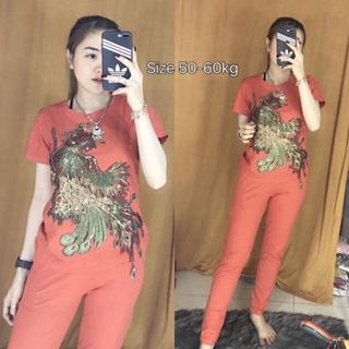 Mai về Tên sản phẩm Sét Bộ Chất Liệu vải Da cá 🤣Giá sĩ 60k 👉🏿Sezi từ 40 đến dưới 55 ký