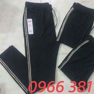 Quần viền nhũ chữ