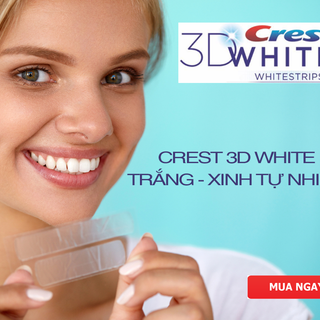 Liệu trình trắng răng 20 ngày - 40 miếng dành cho răng ngã vàng