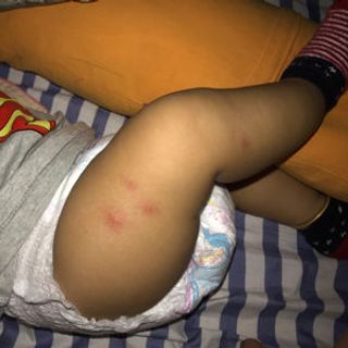 tinh dầu sả nguyên chất 100