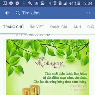 tính chất collaghen thay da sinh hoc nhất ban