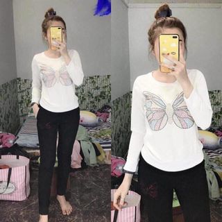 set da cá in hình bướm