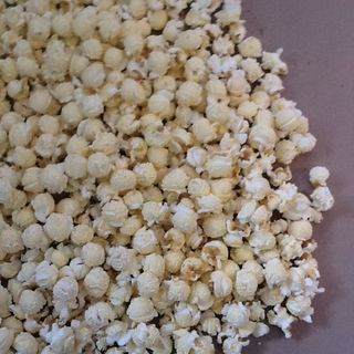 Cung cấp bắp hạt nổ Mỹ Dạng hình Nấm