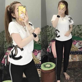 set da cá in chữ bên hông