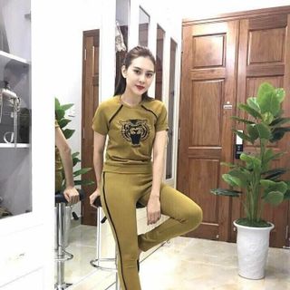 set da cá hình con hổ