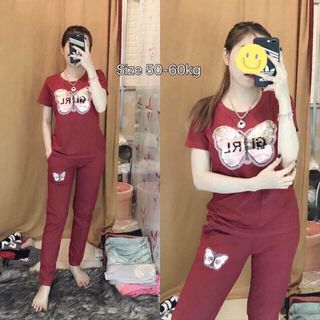 set da cá bướm ngắn tay
