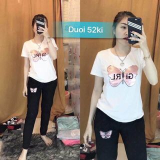 set da cá bướm ngắn tay