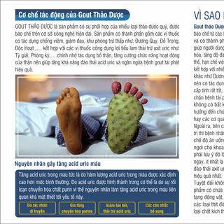 GOUT THẢO DƯỢC “ỔN ĐỊNH AXIT URIC PHÒNG NGỪA BIẾN CHỨNG” 100 THẢO DƯỢC