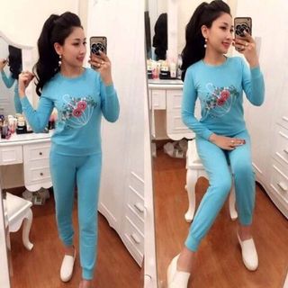 Đồ bộ thu đông nữ - D1611d- 2 màu