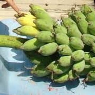 Chuối xiêm - chuối sứ nhà trồng tự nhiên