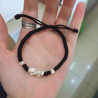 Dây têt mix tỳ hưu bạc