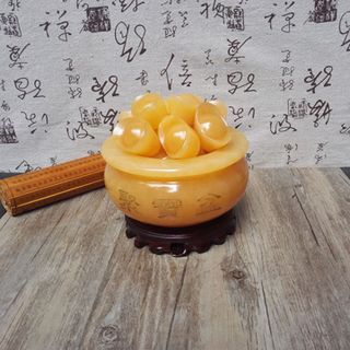 Bát tụ bảo hoàng long