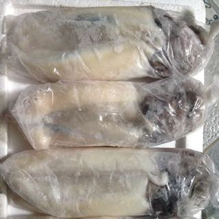 cá nục