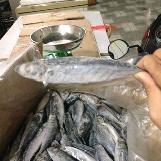 cá nục