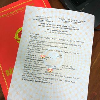 Thuốc Tái Tạo Ngọc Linh Sâm
