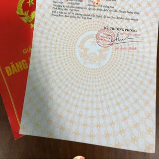 Thuốc Tái Tạo Ngọc Linh Sâm
