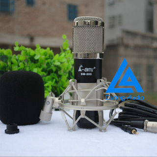 MICRO THU ÂM AMI BM 900 CHUYÊN NGHIỆP