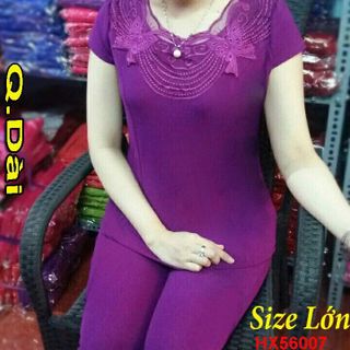sét bộ cát hàn vải mịn co giản tốt bao đẹp