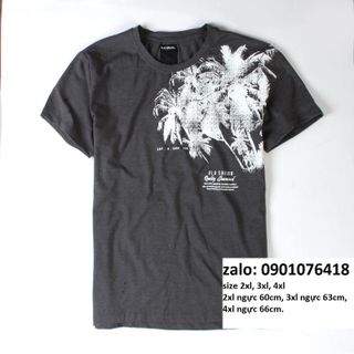 Áo thun bigsize hoạ tiết đẹp