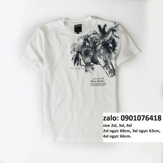 Áo thun bigsize hoạ tiết đẹp