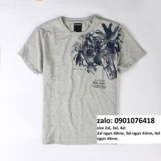 Áo thun bigsize hoạ tiết đẹp