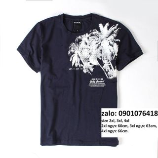 Áo thun bigsize hoạ tiết đẹp