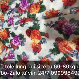 Đồ bộ tole