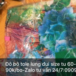 Đồ bộ tole