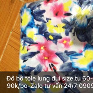 Đồ bộ tole