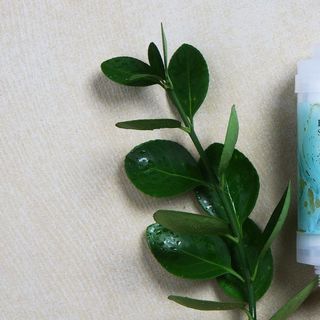 BODY VITA Jasmine Mint