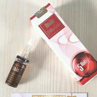 noãn thực vật
