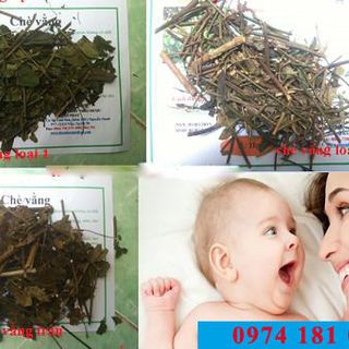 Chè vằng lợi sữa giảm cân