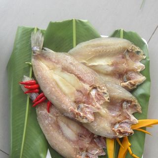 Khô Cá Đù - Cá Đù 1 Nắng - Giá Cá Đù Một Nắng