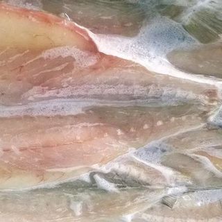 Khô Cá Đù - Cá Đù 1 Nắng - Giá Cá Đù Một Nắng