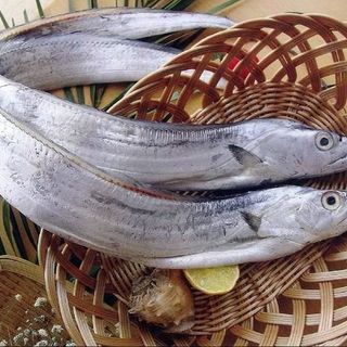 Cá Hố - Cá Hố Cắt Khúc - Giá Cá Hố