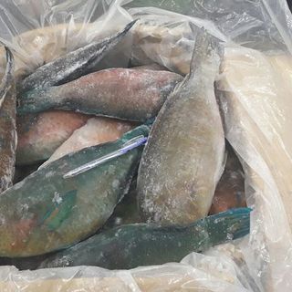 THỦY HẢI SẢN CẤP ĐÔNG