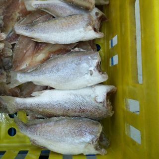 THỦY HẢI SẢN CẤP ĐÔNG