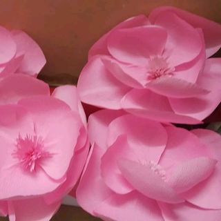 Hoa giấy